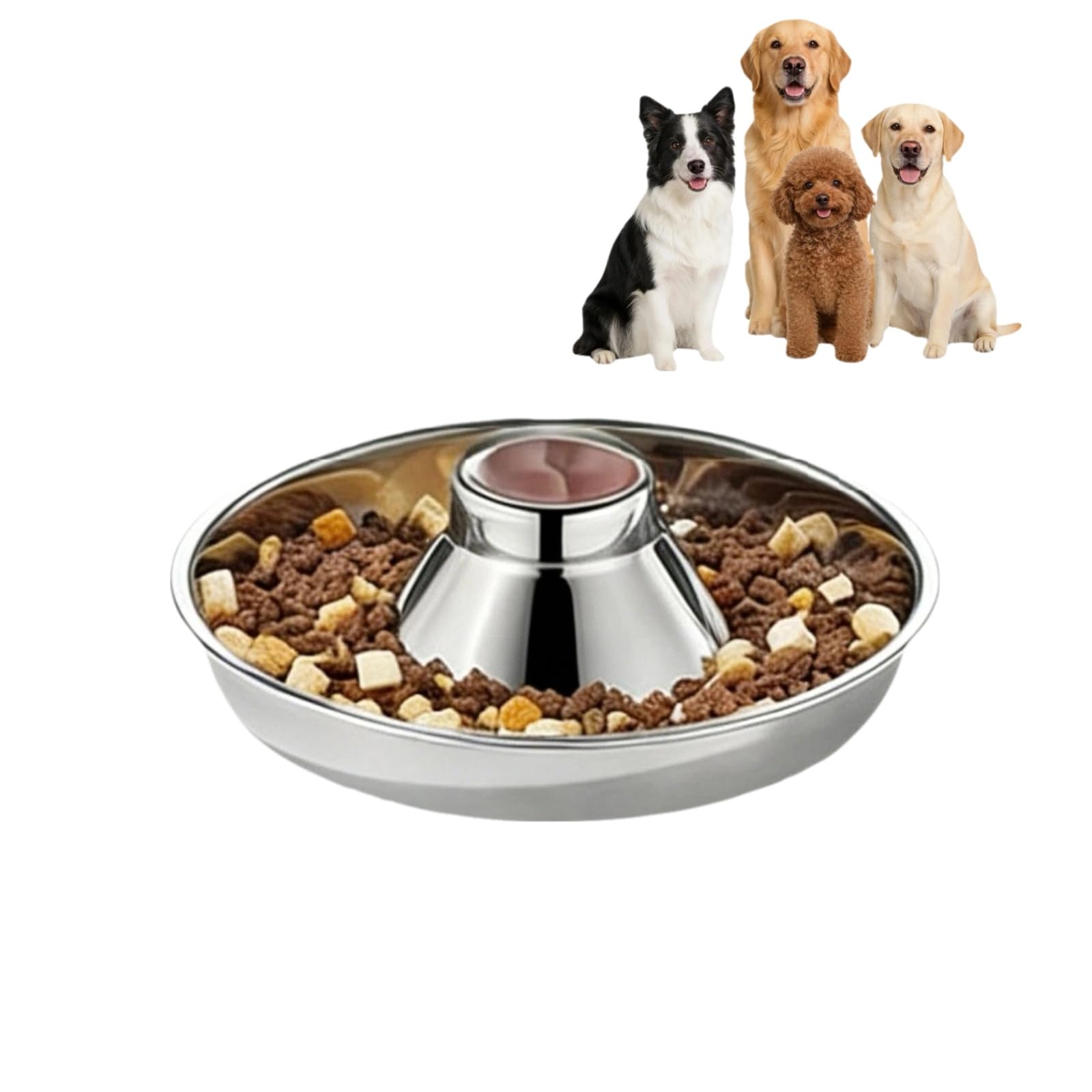 Stainless Steel Multi-Pet Feeding Bowls Set