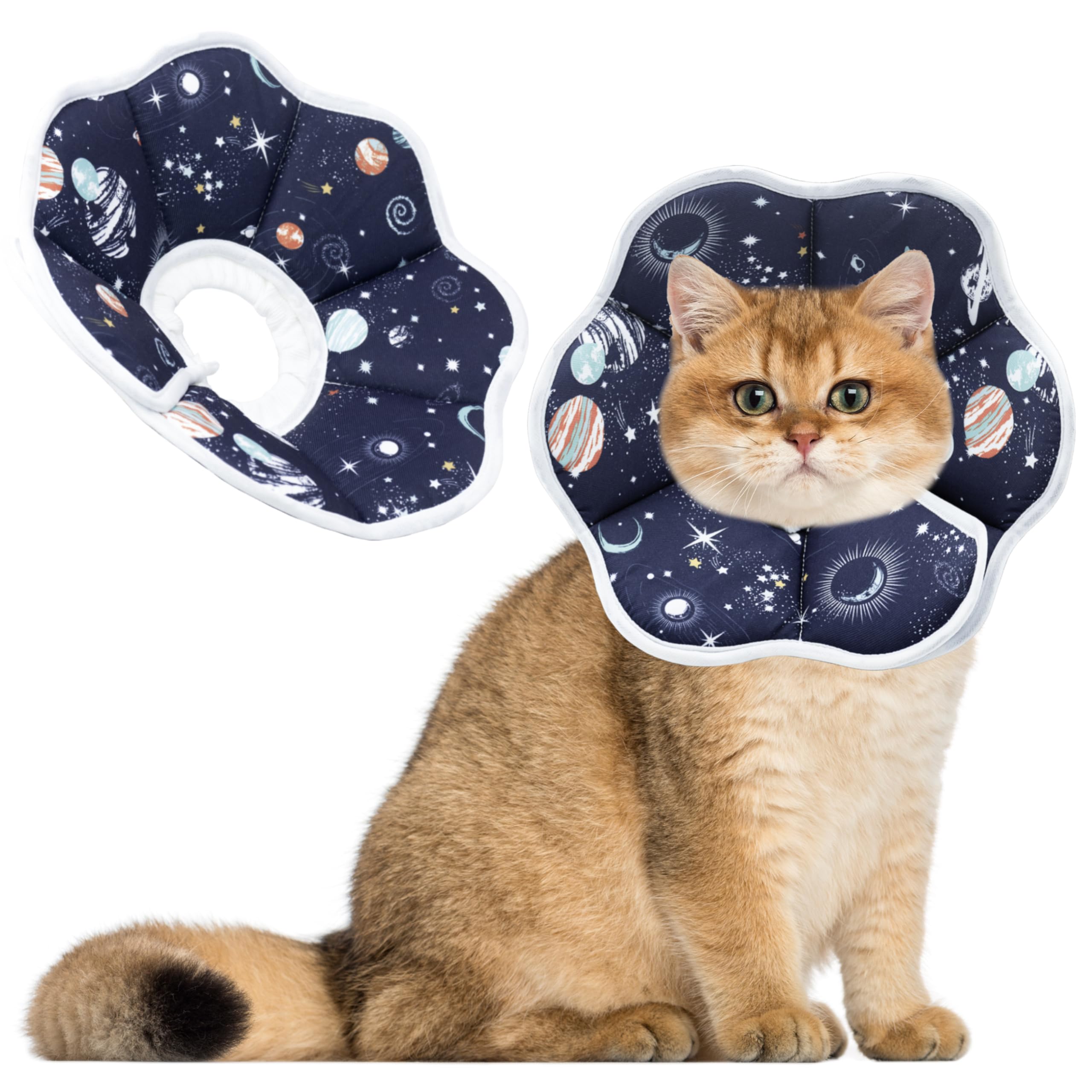 Soft Adjustable Recovery Collar for Cats & Kittens