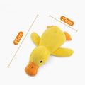 Interactive Plush Chew Toy for Cats & Dogs