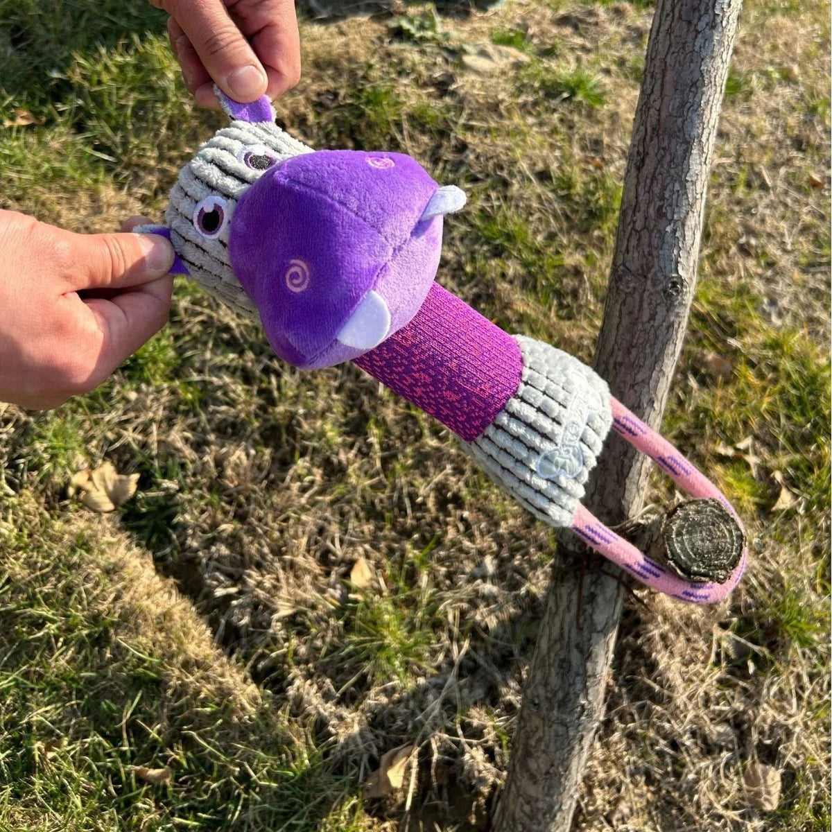 Animal Shape Squeaky Dog Toys Bite Resistant - Apex Goods Co