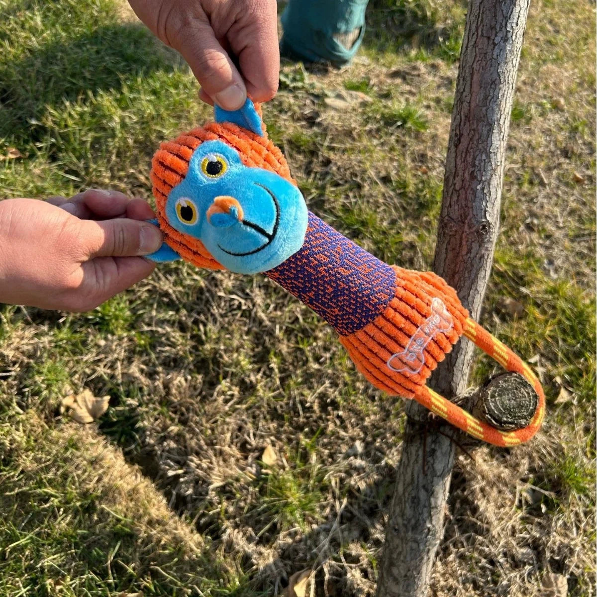 Animal Shape Squeaky Dog Toys Bite Resistant - Apex Goods Co