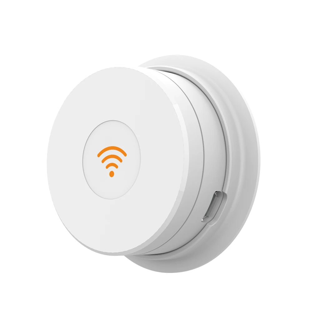 WiFi Bridge Gateway for Smart Lock Systems - Apex Goods Co